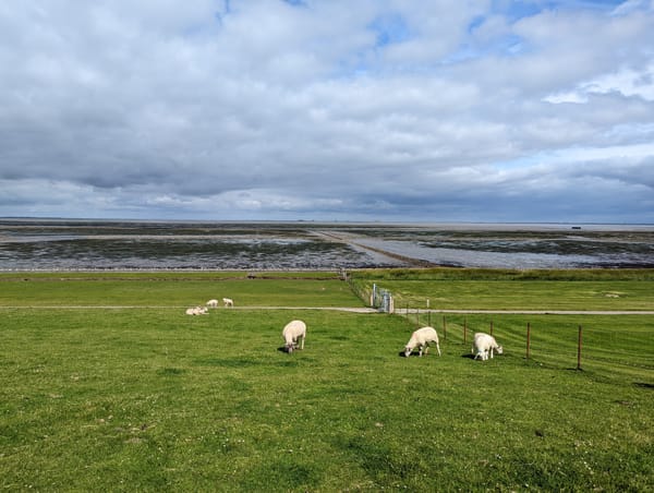 Camping Nordstrand